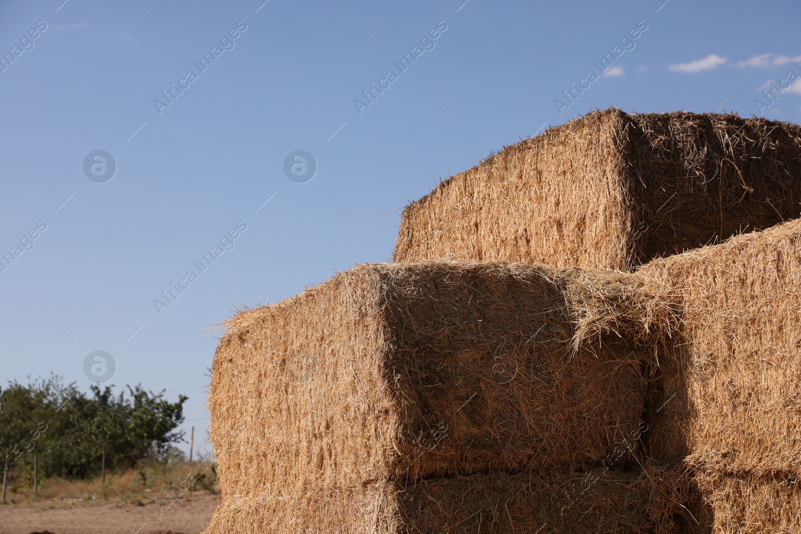 Photo of Bales of hay outdoors on sunny day, closeup