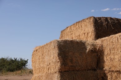 Bales of hay outdoors on sunny day, closeup