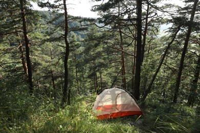 Modern camping tent in forest at summer