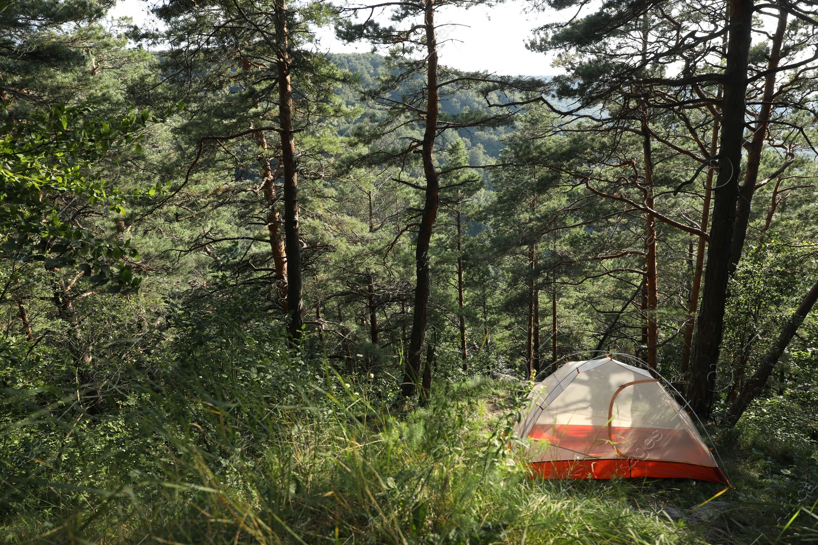 Photo of Modern camping tent in forest at summer, space for text