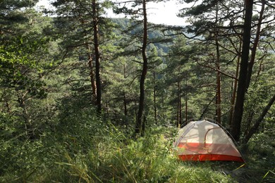 Photo of Modern camping tent in forest at summer, space for text