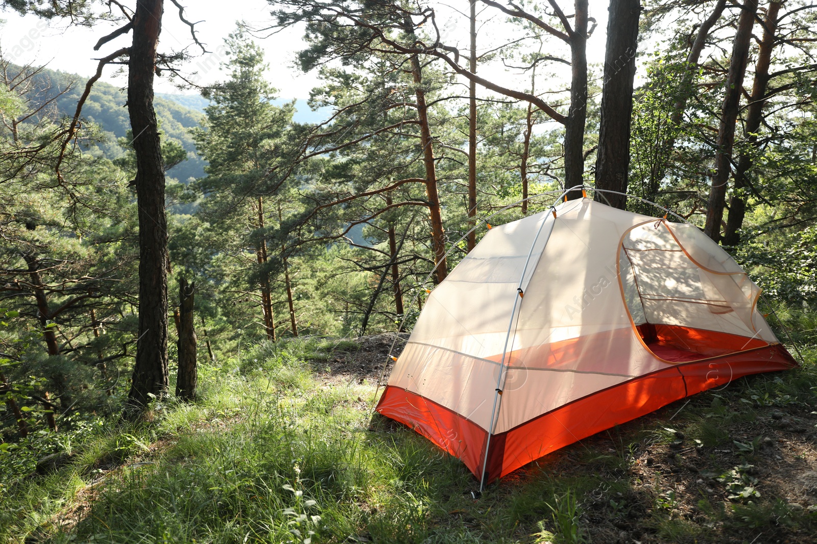 Photo of Modern camping tent in forest at summer, space for text