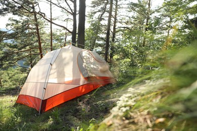 Photo of Modern camping tent in forest at summer, space for text