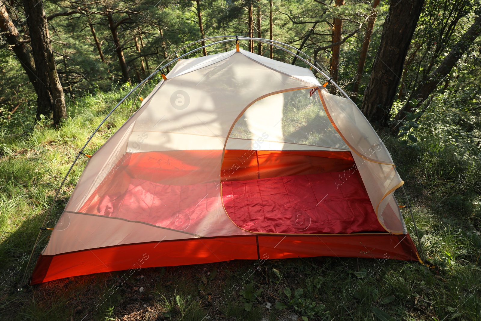 Photo of Modern camping tent in forest at summer