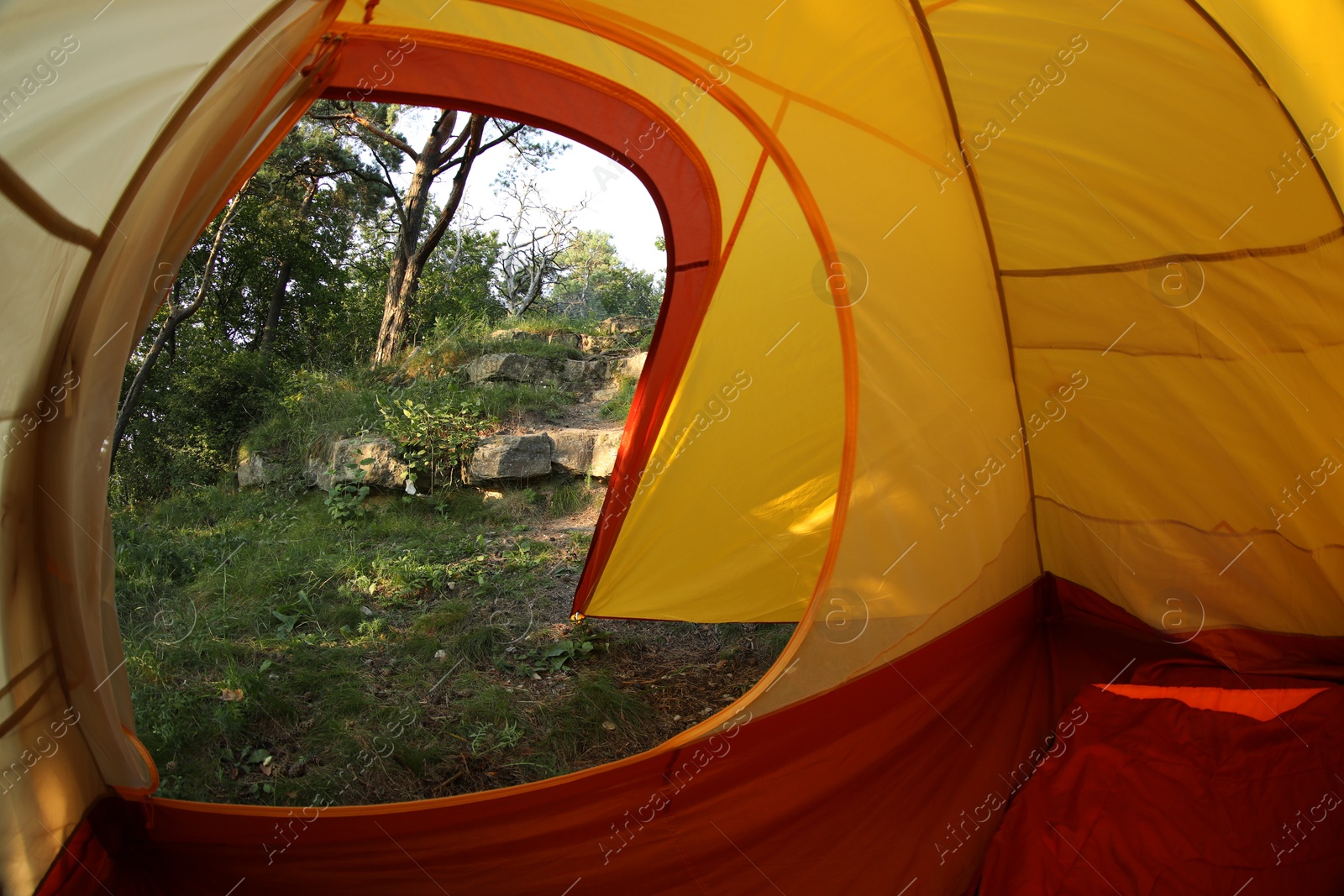 Photo of Modern camping tent in wilderness at summer, view on forest through window