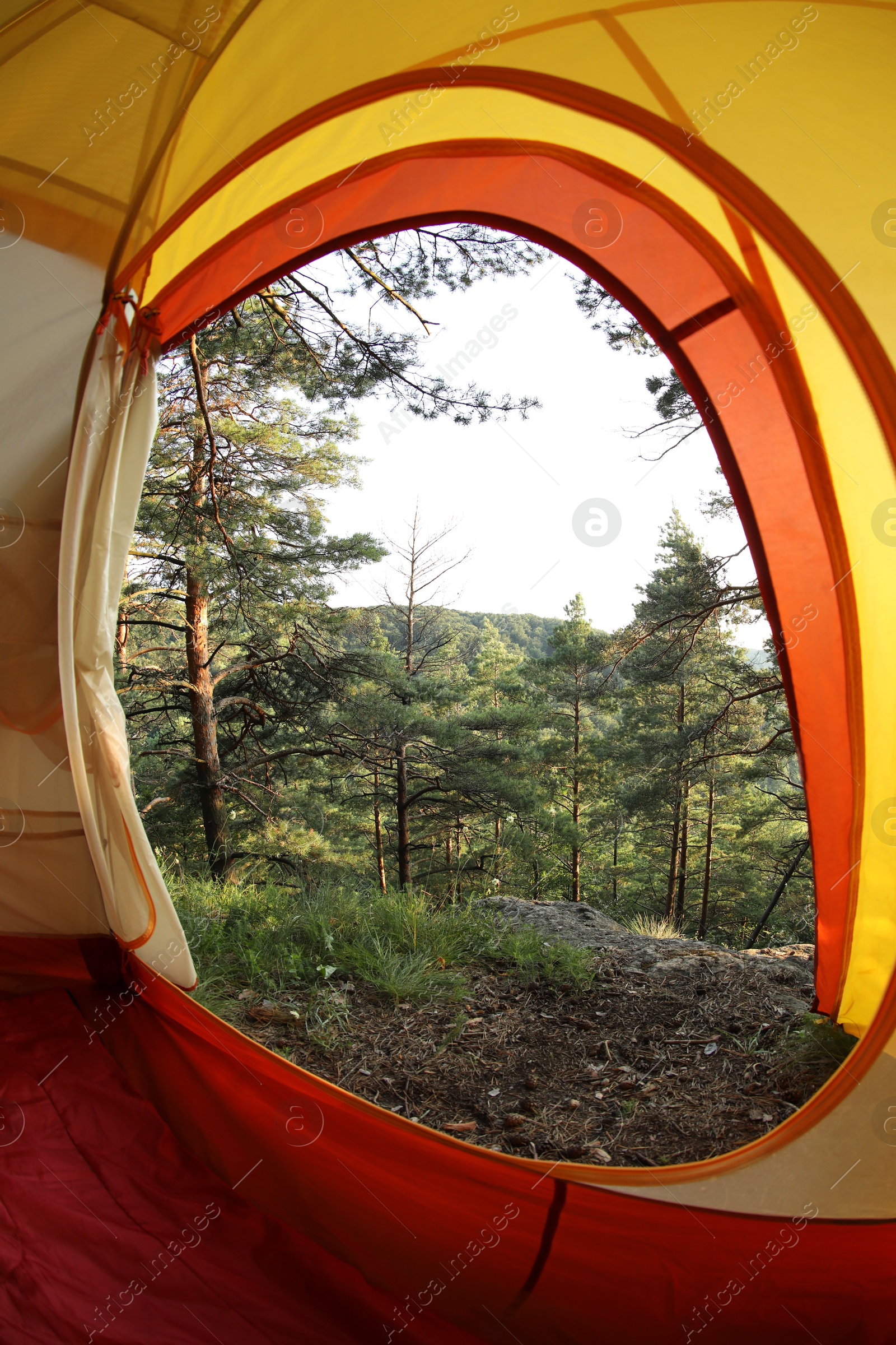 Photo of Modern camping tent in wilderness at summer, view on forest through window