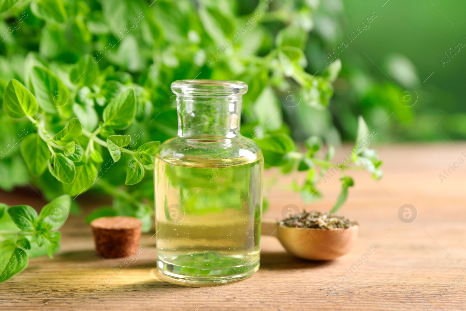 Photo of Essential oil in bottle, spoon with dry herb and oregano twigs on wooden table, closeup