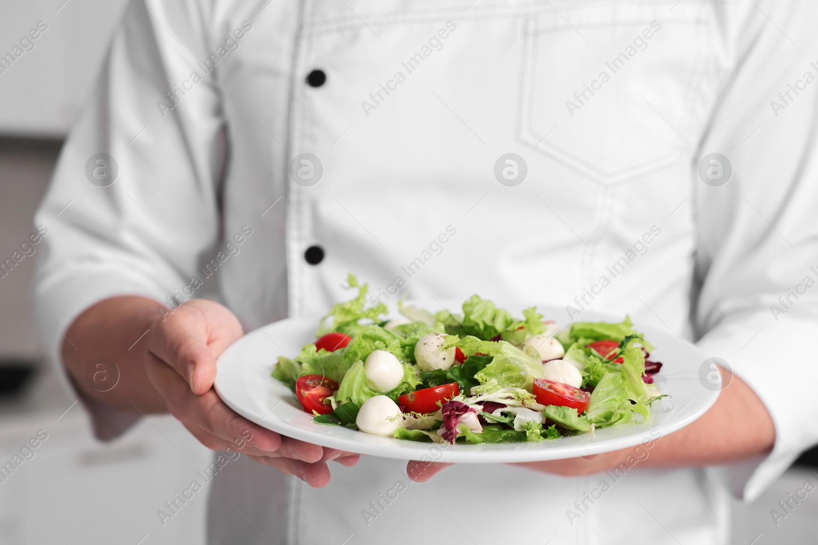 Photo of Professional chef with delicious salad in kitchen, closeup