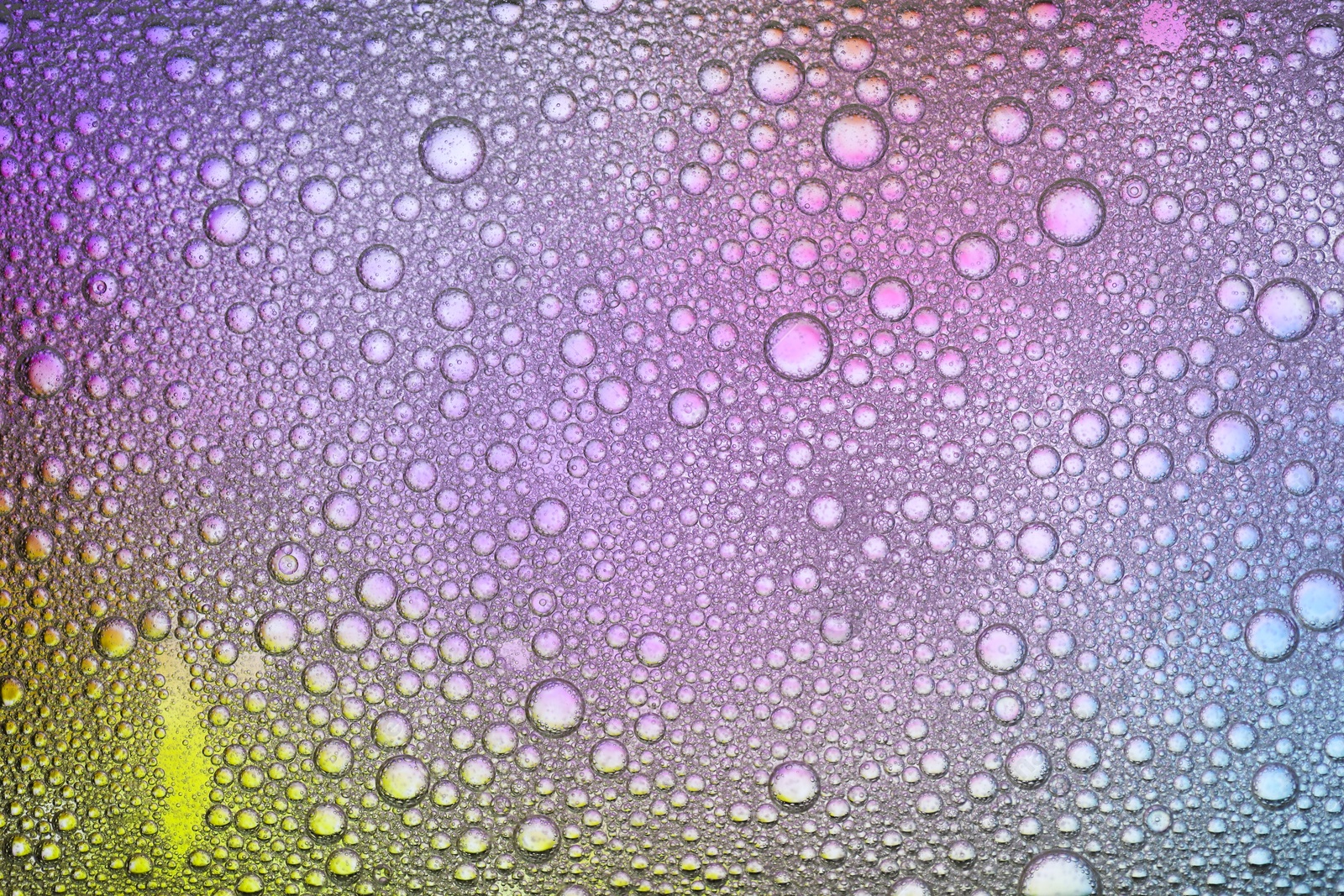 Photo of Essential oil bubbles on color background, macro view. Cosmetic product