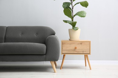 Photo of Comfortable sofa, houseplant and table near grey wall in room