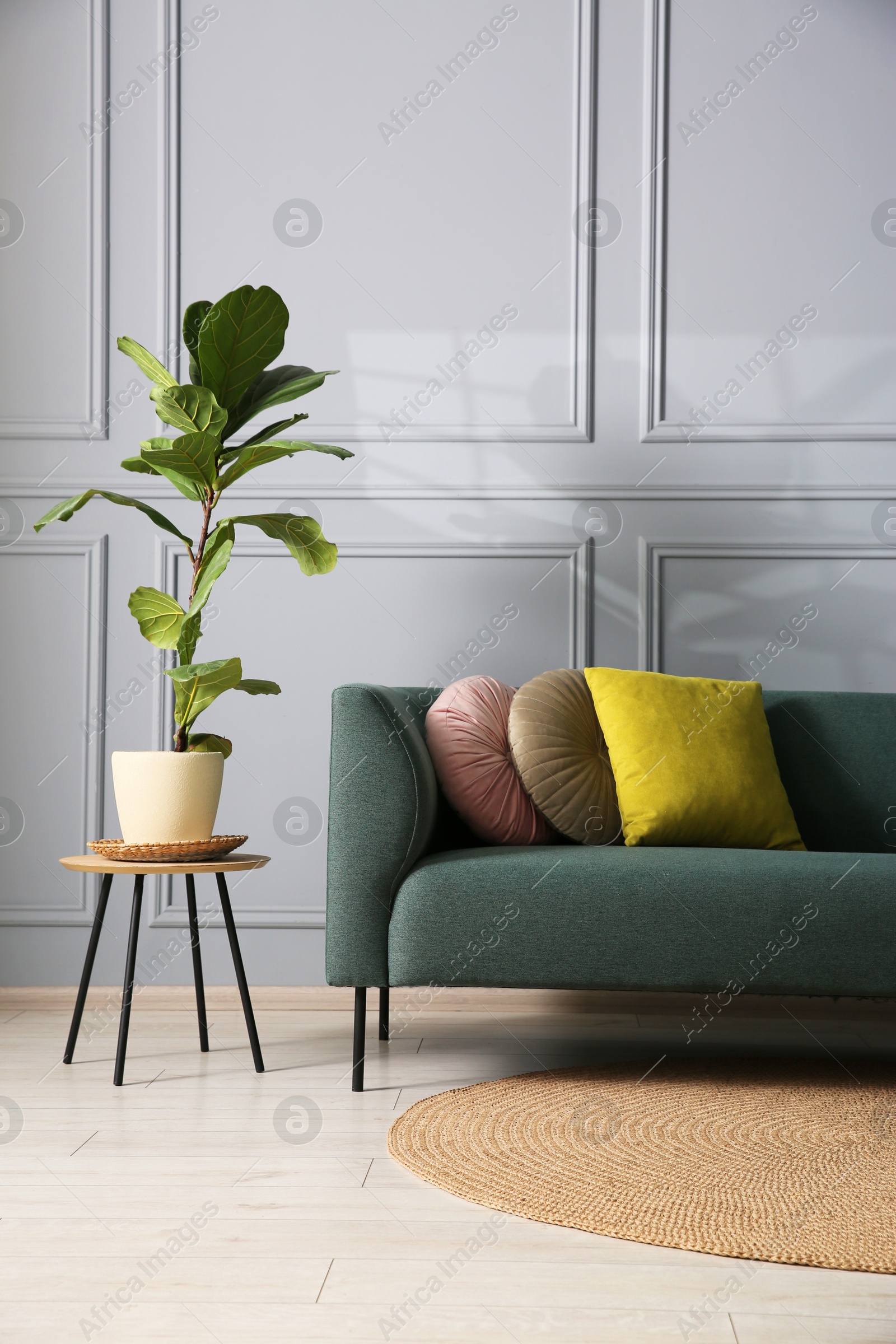 Photo of Comfortable sofa and houseplant near grey wall in room