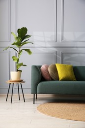 Photo of Comfortable sofa and houseplant near grey wall in room