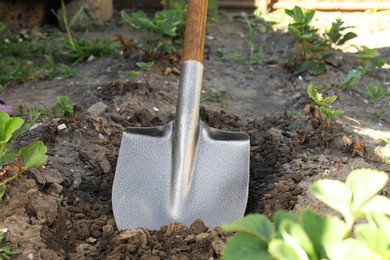 Photo of Digging soil with shovel in garden, closeup