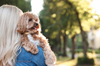 Photo of Woman with cute dog in park, back view. Space for text