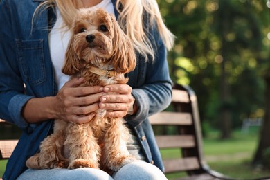 Photo of Woman with cute dog on bench in park, closeup