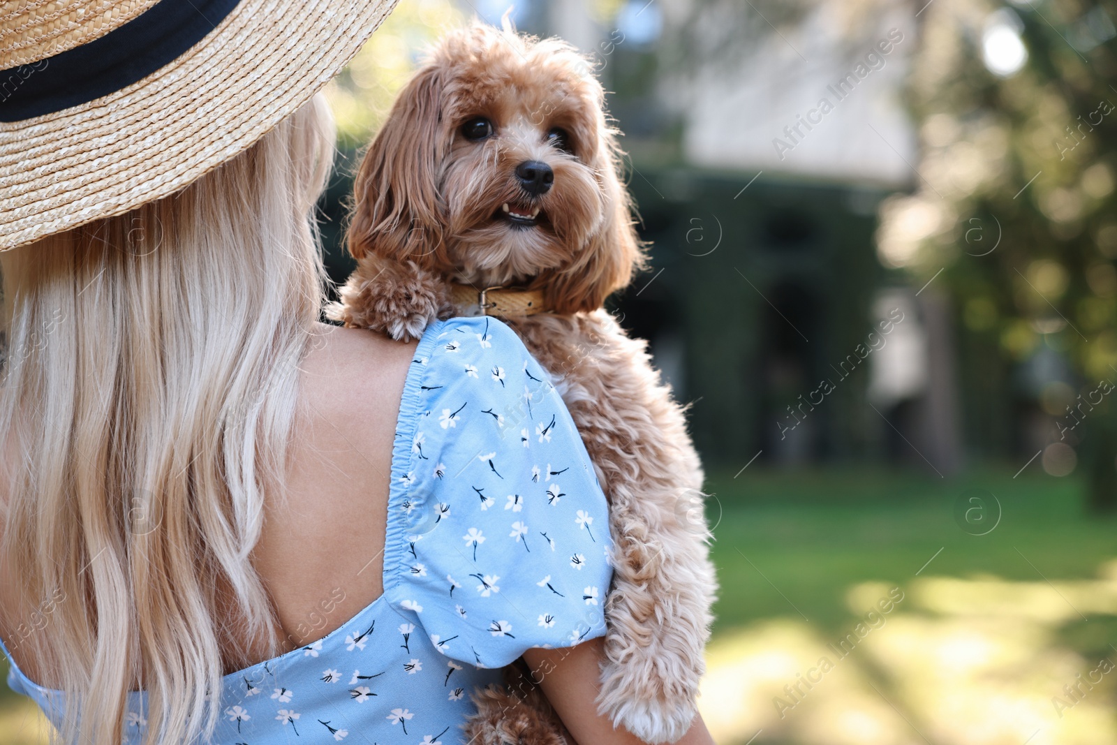 Photo of Woman with cute dog in park, back view. Space for text