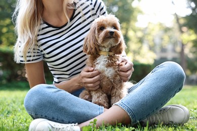 Photo of Woman with cute dog in park, closeup