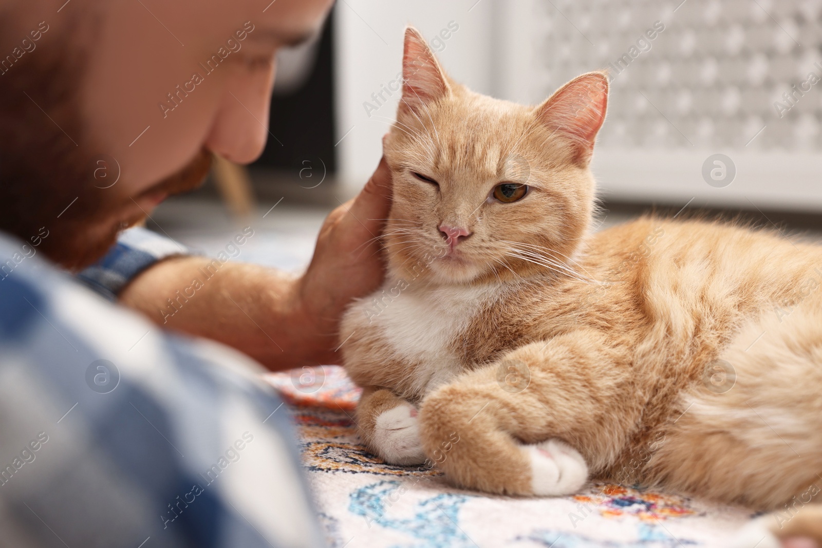 Photo of Man petting cute ginger cat on floor at home, closeup