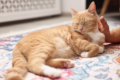 Photo of Man petting cute ginger cat on floor at home, closeup