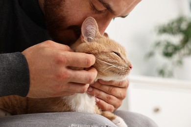 Photo of Man petting cute ginger cat on armchair at home