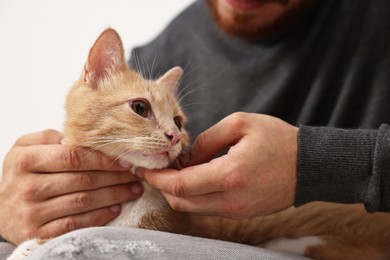 Man petting cute ginger cat on sofa at home, closeup