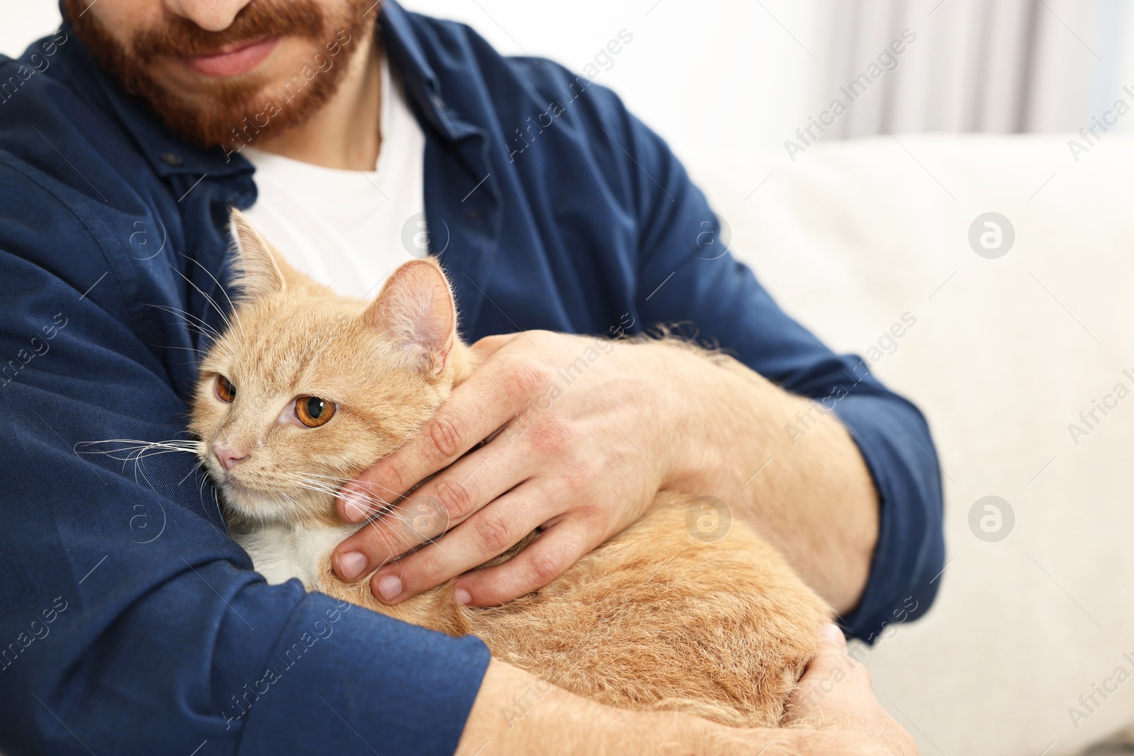 Photo of Man petting cute ginger cat on sofa at home, closeup