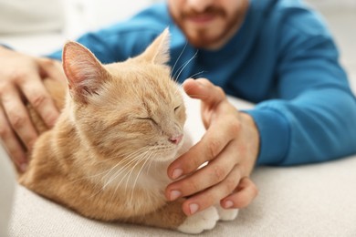 Photo of Man petting cute ginger cat on sofa at home, closeup