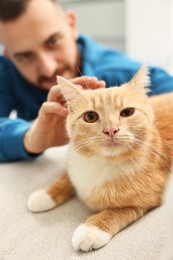 Man petting cute ginger cat on sofa at home, selective focus