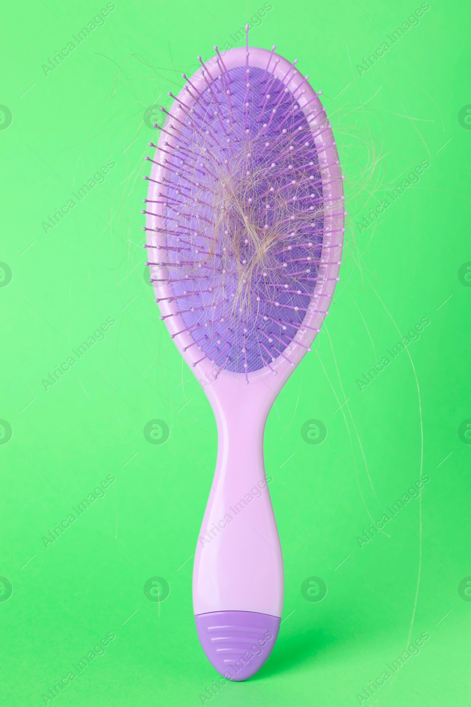 Photo of One brush with lost hair on green background, closeup