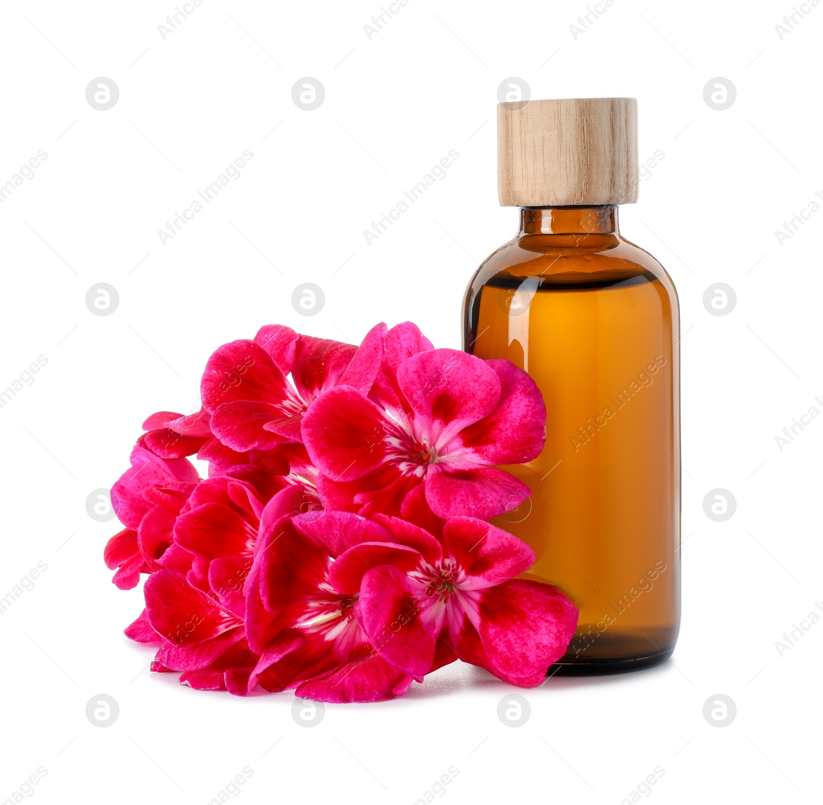 Photo of Geranium essential oil in bottle and beautiful flowers isolated on white