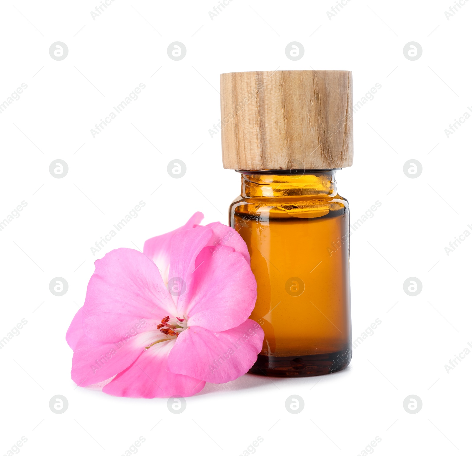 Photo of Geranium essential oil in bottle and beautiful flower isolated on white