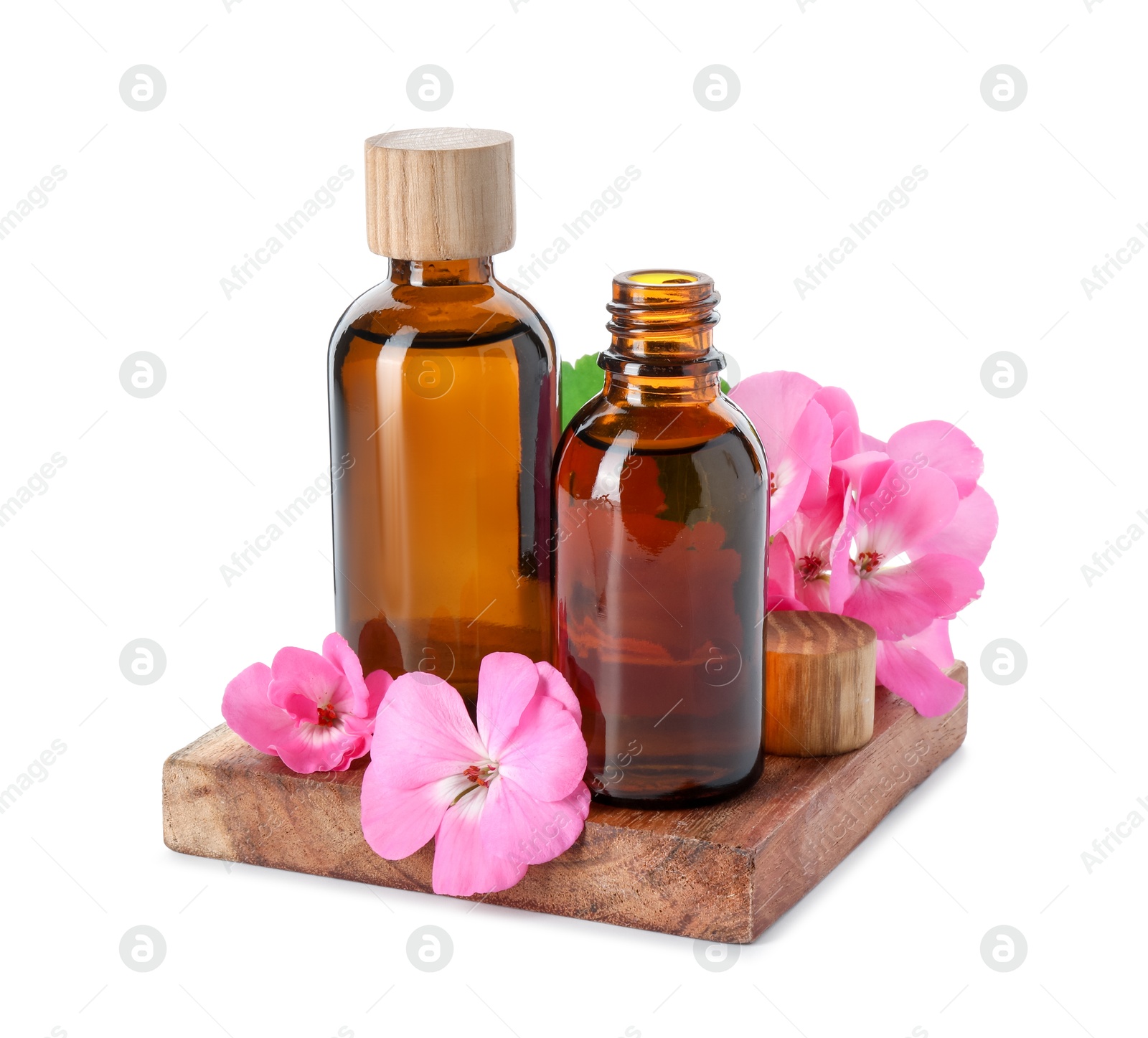 Photo of Geranium essential oil in bottles and beautiful flowers isolated on white