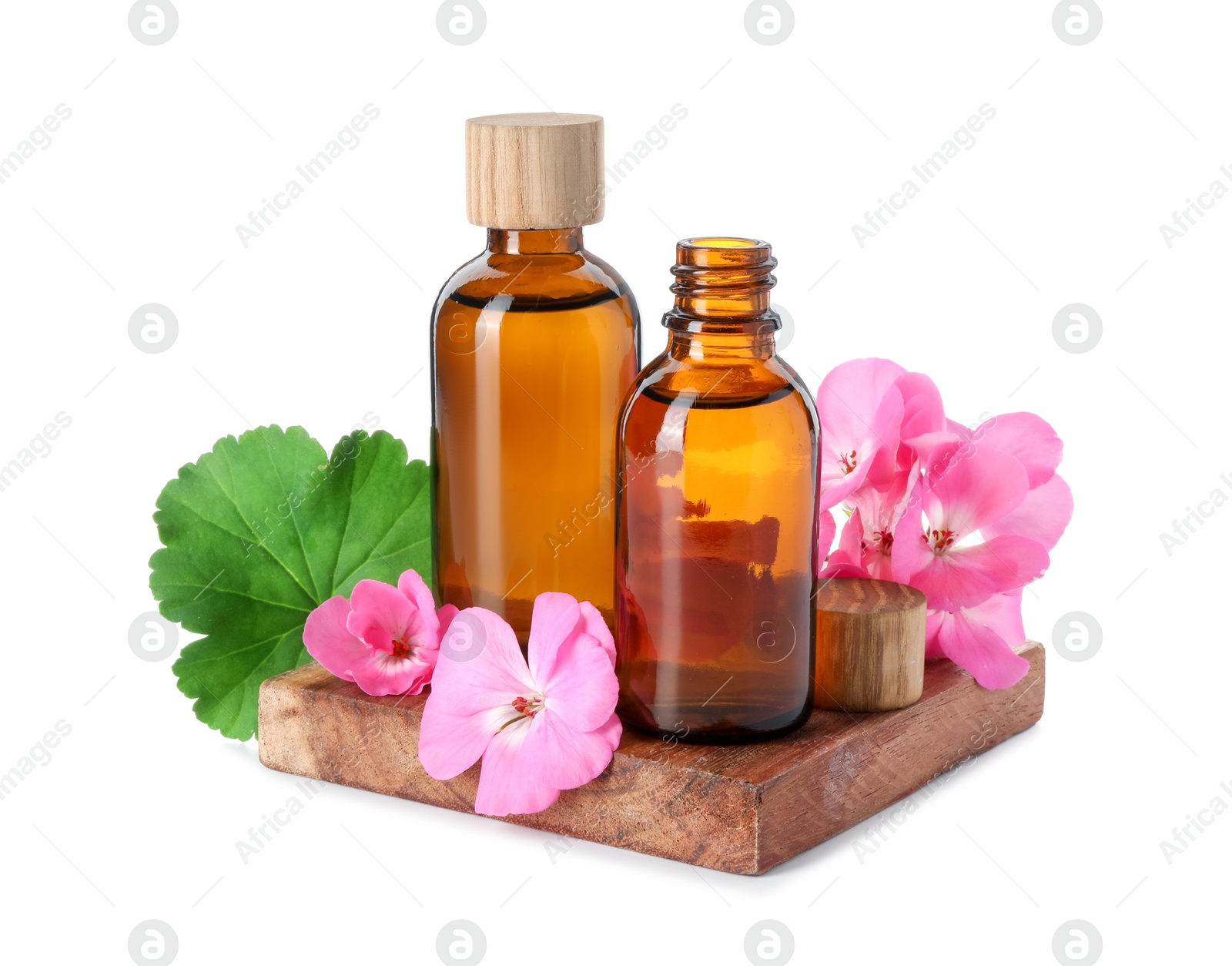 Photo of Geranium essential oil in bottles and beautiful flowers isolated on white