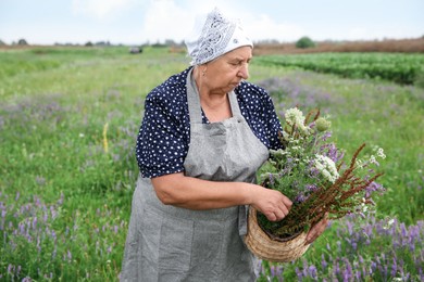 Photo of Senior woman with wildflowers for tincture outdoors