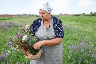 Photo of Senior woman with wildflowers for tincture outdoors