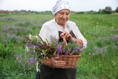 Photo of Senior woman with wildflowers for tincture outdoors