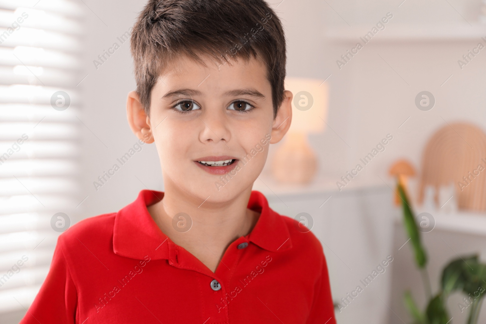 Photo of Portrait of cute little boy at home