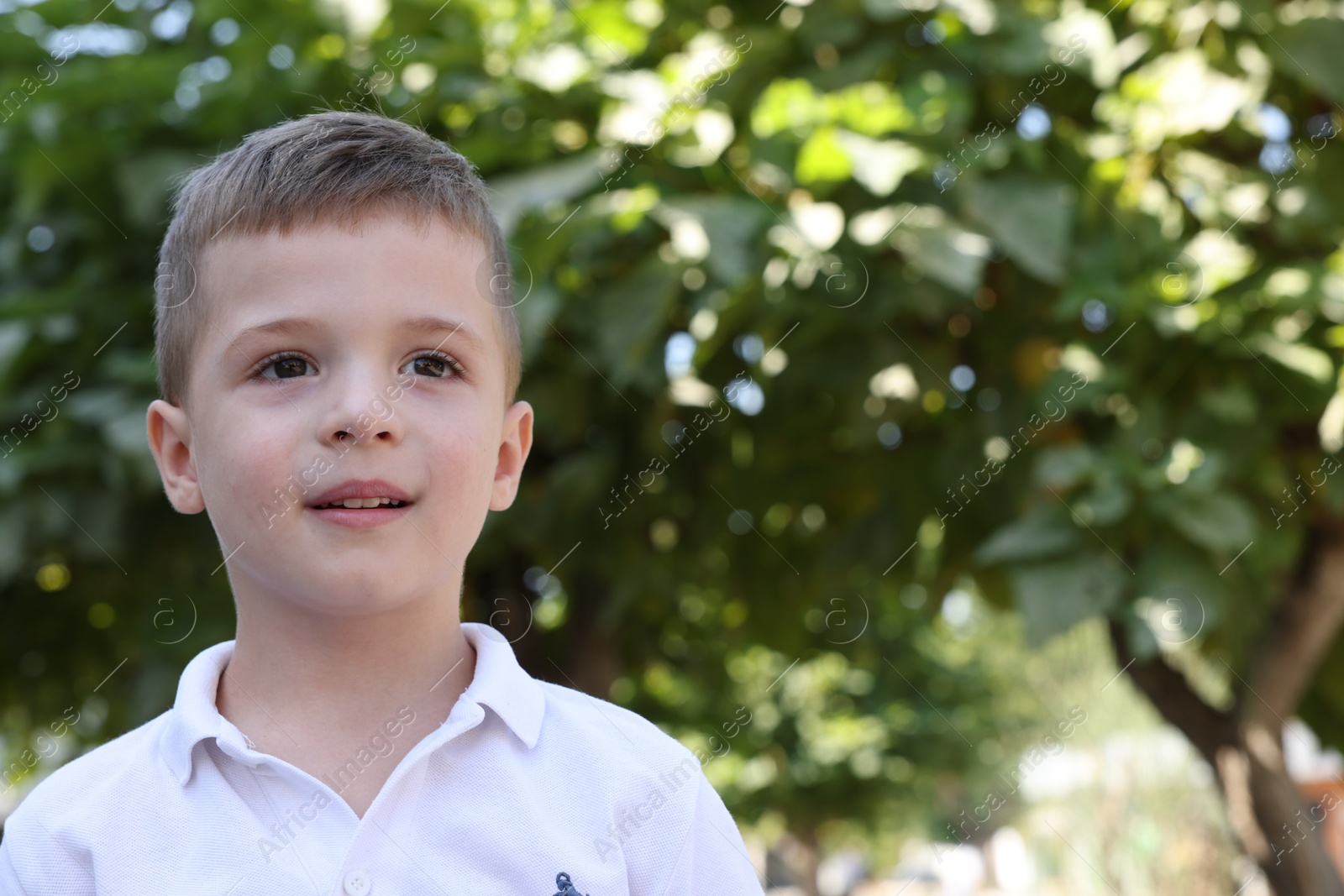 Photo of Portrait of little boy outdoors, space for text