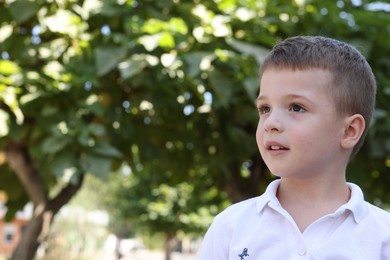 Portrait of little boy outdoors, space for text