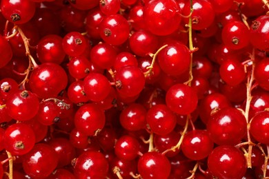 Photo of Fresh ripe red currants as background, top view