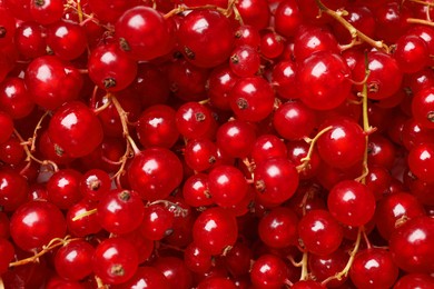 Photo of Fresh ripe red currants as background, top view