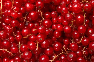 Photo of Fresh ripe red currants as background, top view