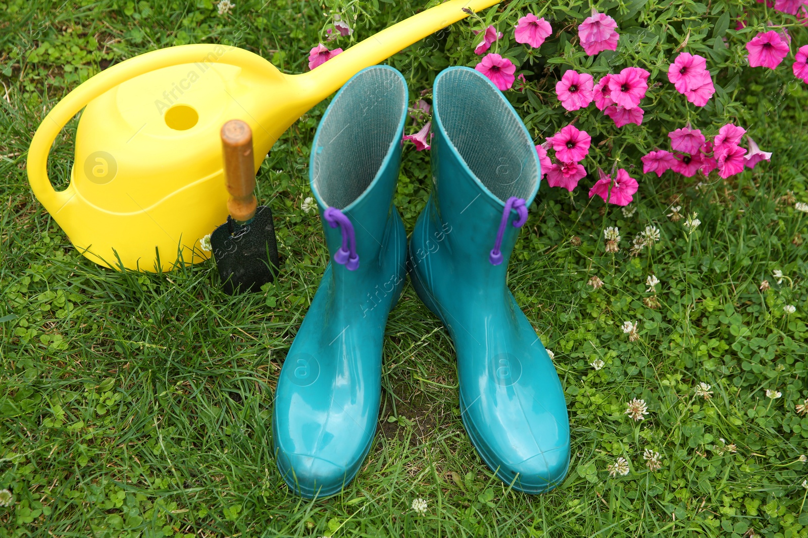 Photo of Rubber boots, gardening tools and petunia flowers on green grass outdoors