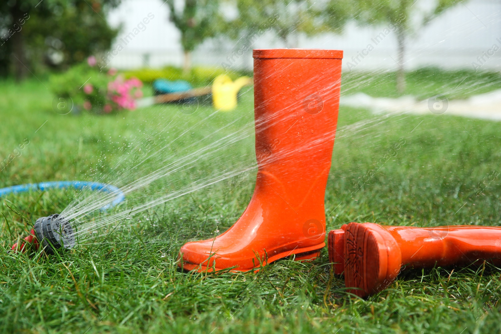 Photo of Orange rubber boots under water pressure on green grass outdoors