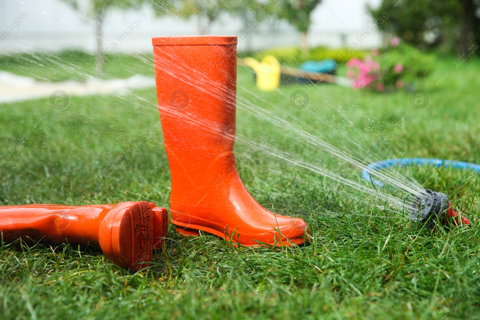 Photo of Orange rubber boots under water pressure on green grass outdoors