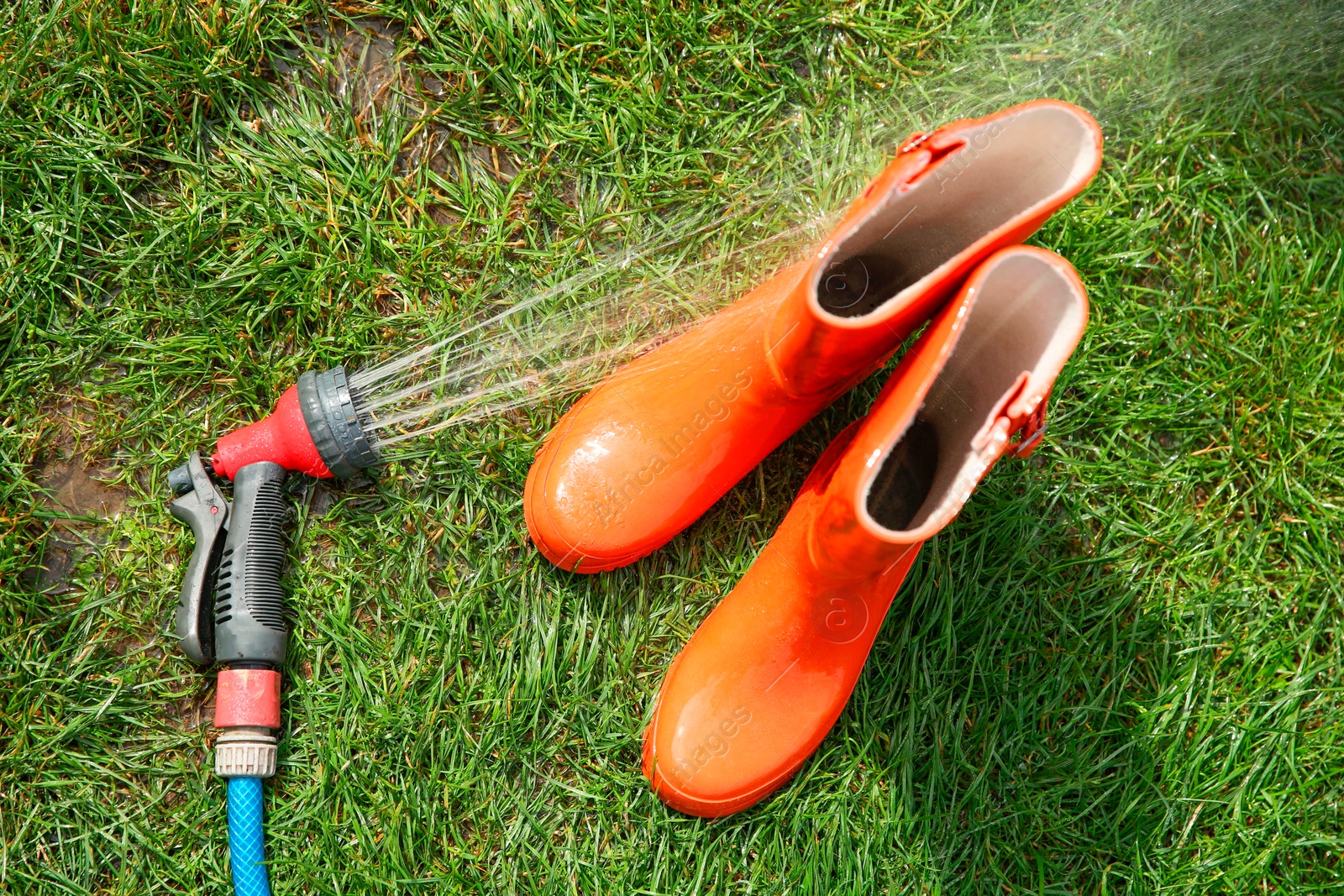 Photo of Orange rubber boots under water pressure on green grass outdoors, top view