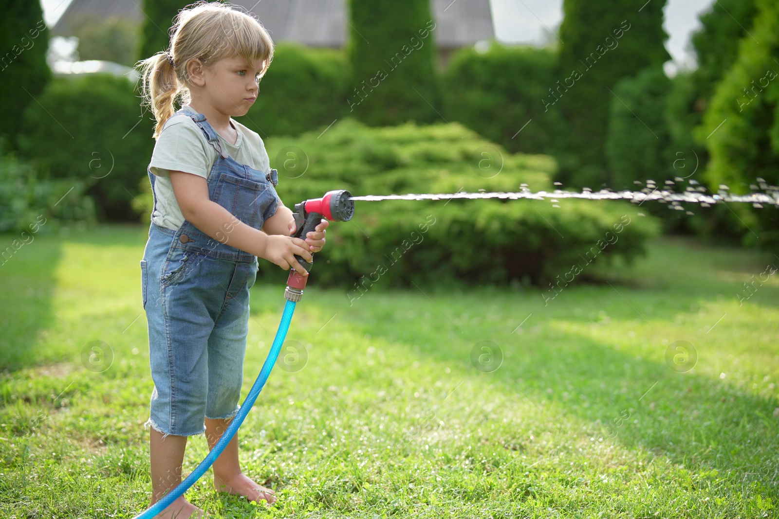 Photo of Little girl watering lawn with hose in backyard