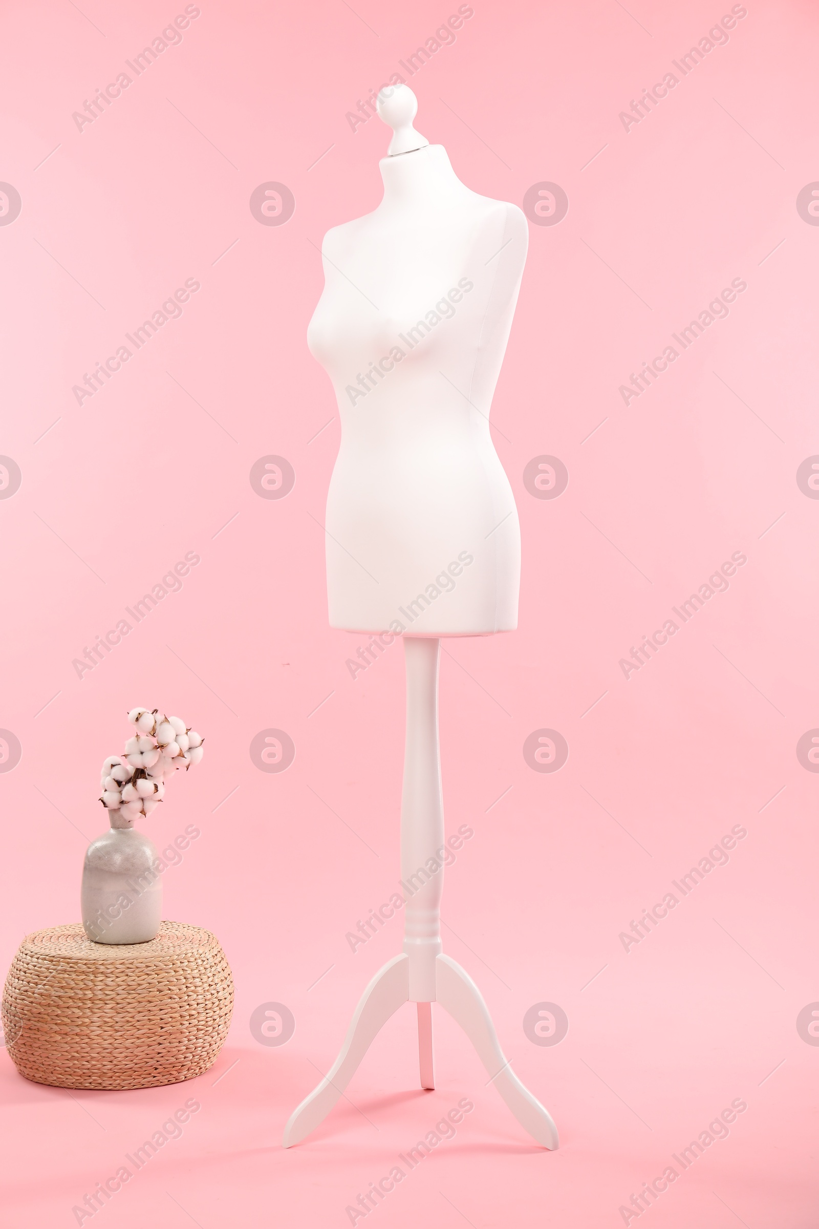 Photo of Female mannequin, pouf and vase with cotton flowers on pink background