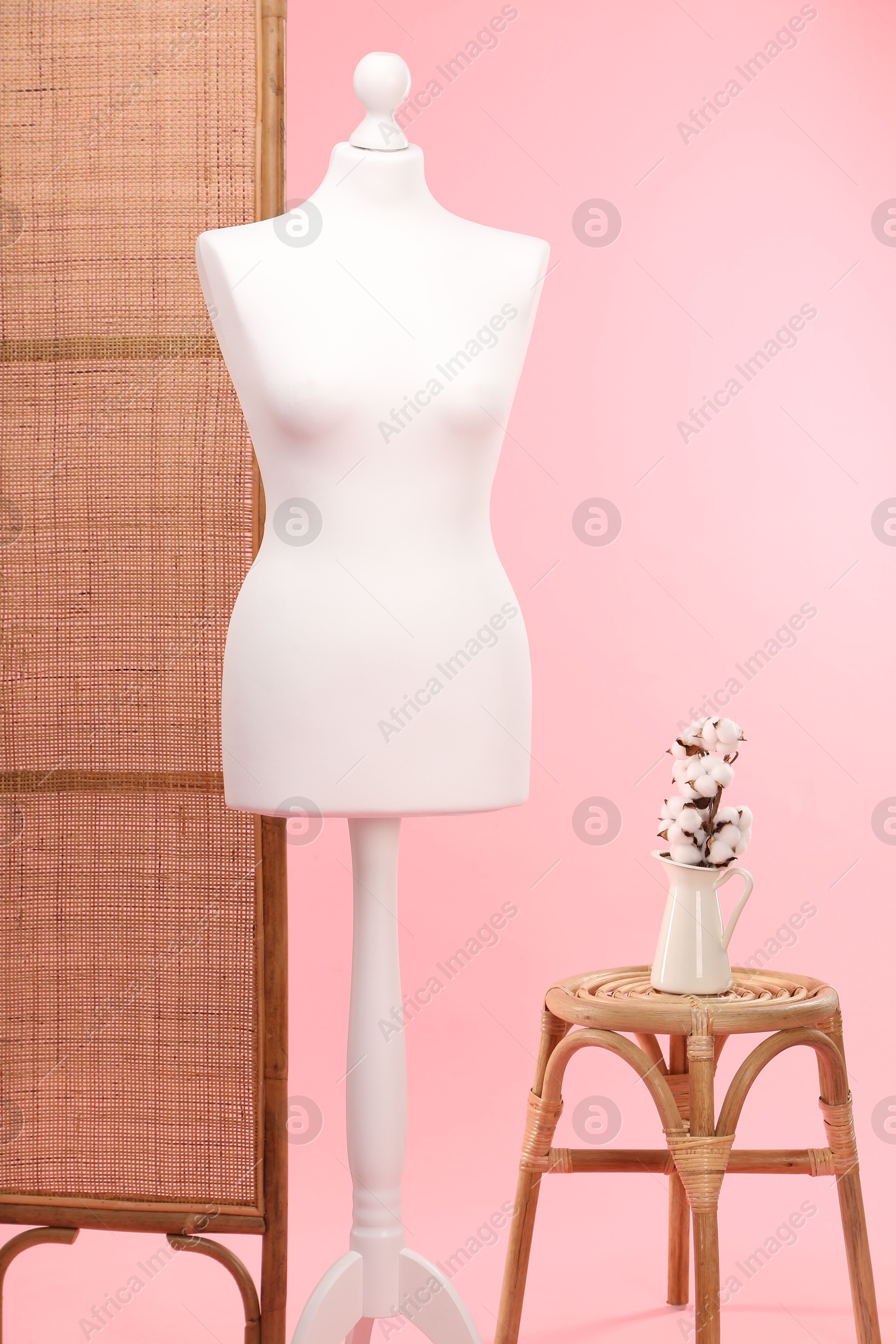 Photo of Female mannequin, folding screen, stool and vase with cotton flowers on pink background