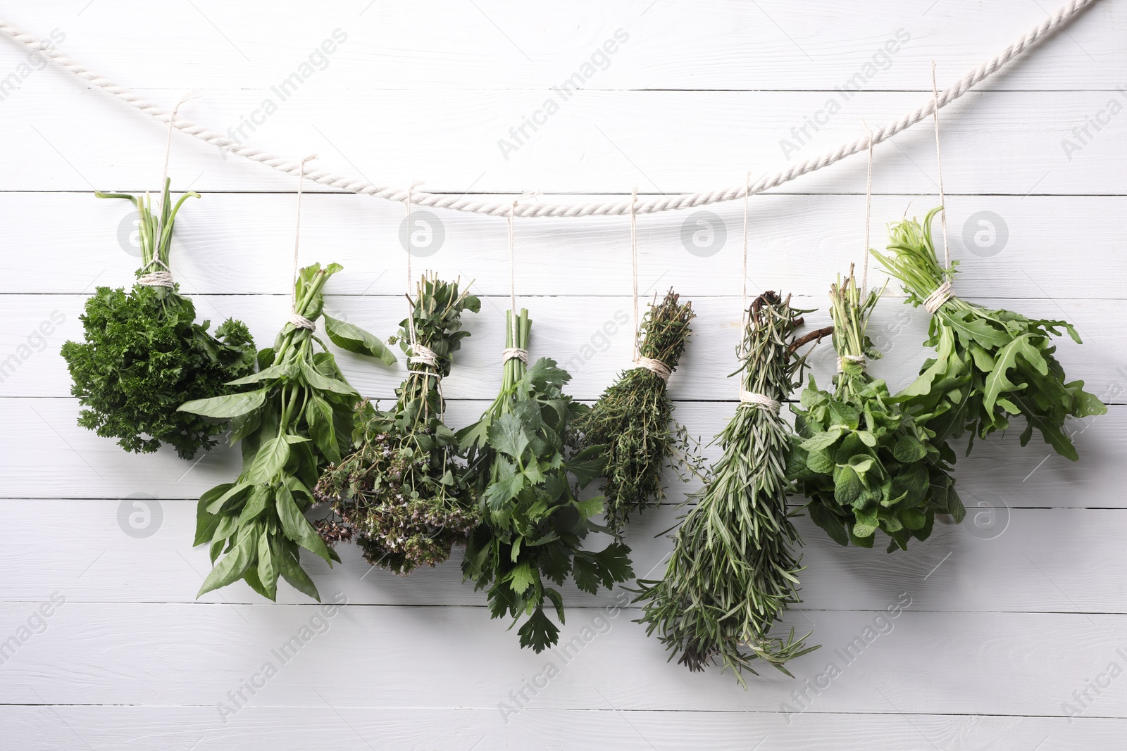 Photo of Bunches of different aromatic herbs hanging on rope near white wooden wall